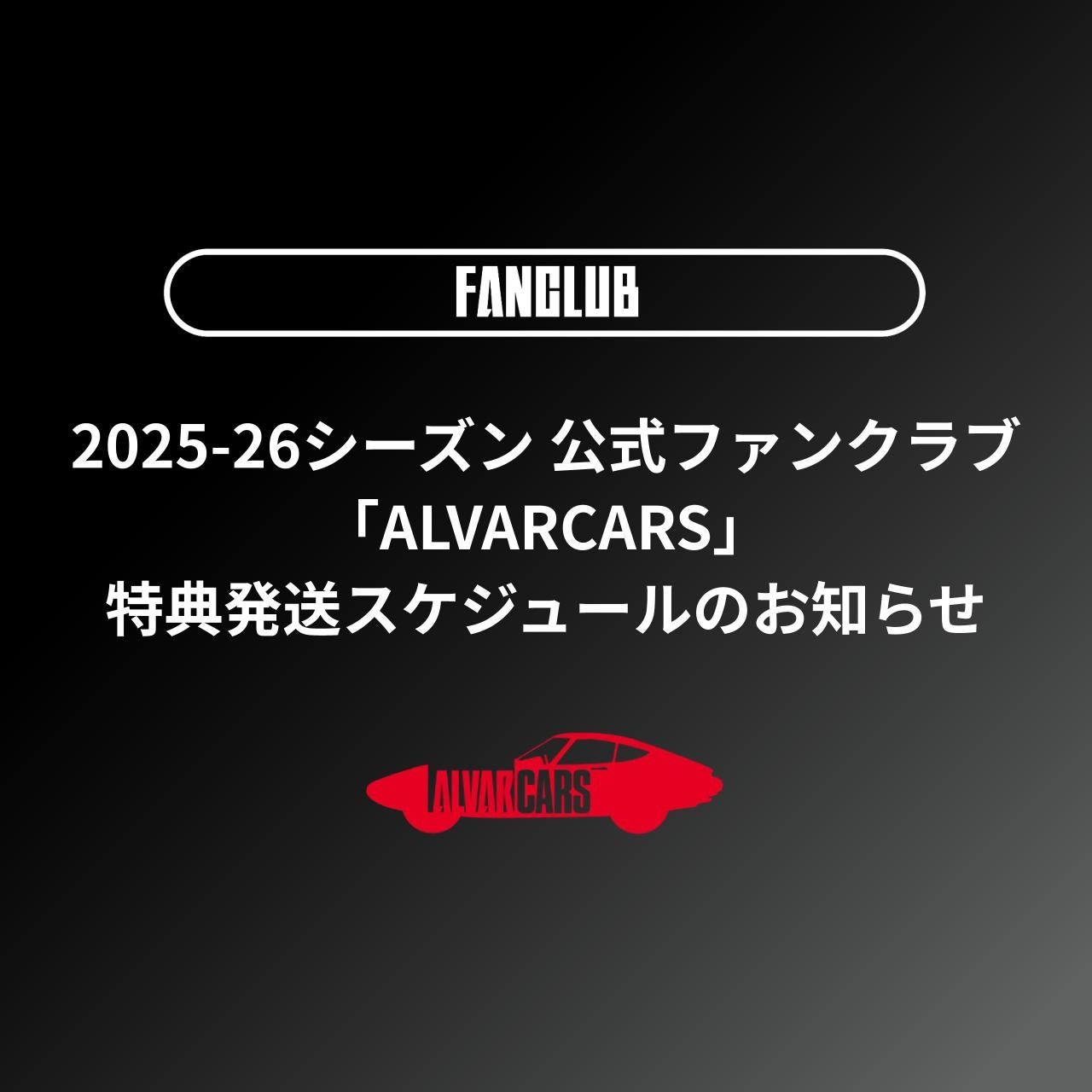 アルバルク東京 ファンクラブ プラチナFC特典グッズ adidas バック