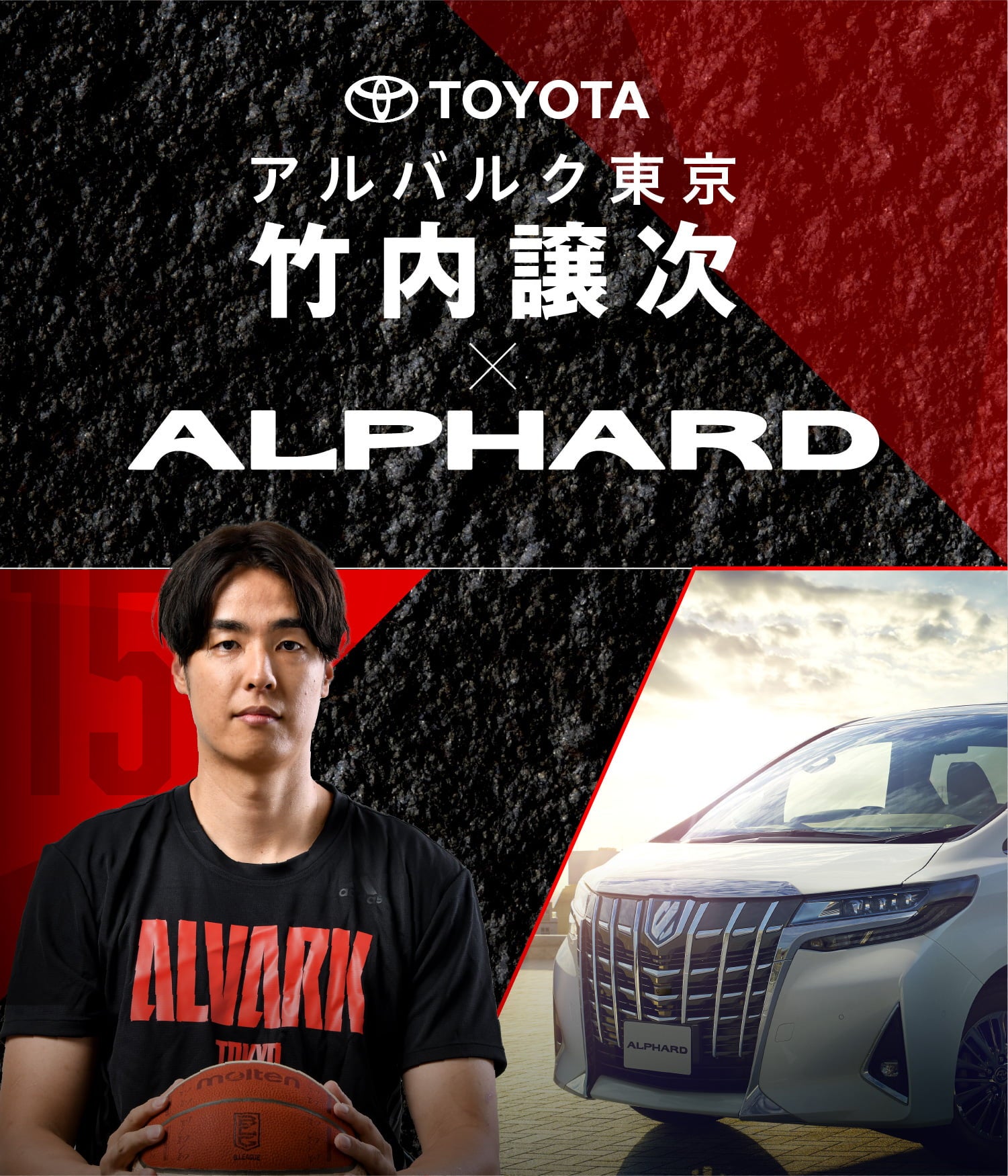 竹内譲次×ALPHARD