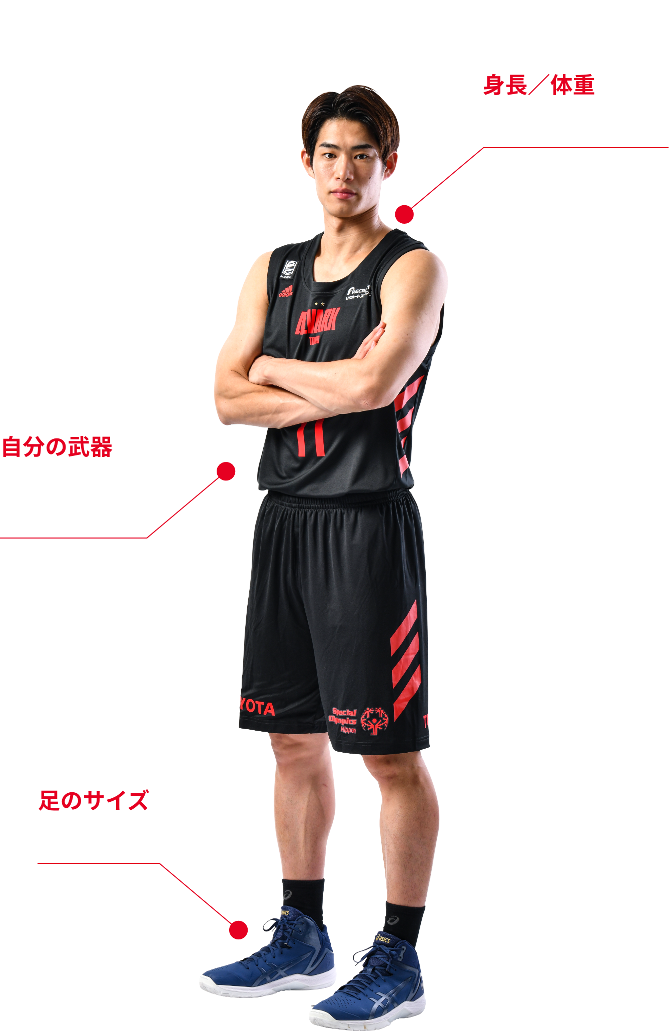 11 11 新潟アルビレックスbb戦の試合特設ページ アルバルク東京 11 11 新潟アルビレックスbb戦の試合特設ページ アルバルク東京